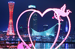 ナイトクルージング