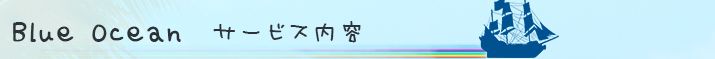Blue Oceanのサービス内容
